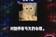 娱乐八卦吃瓜网站在线观看视频,热门八卦视频大揭秘
